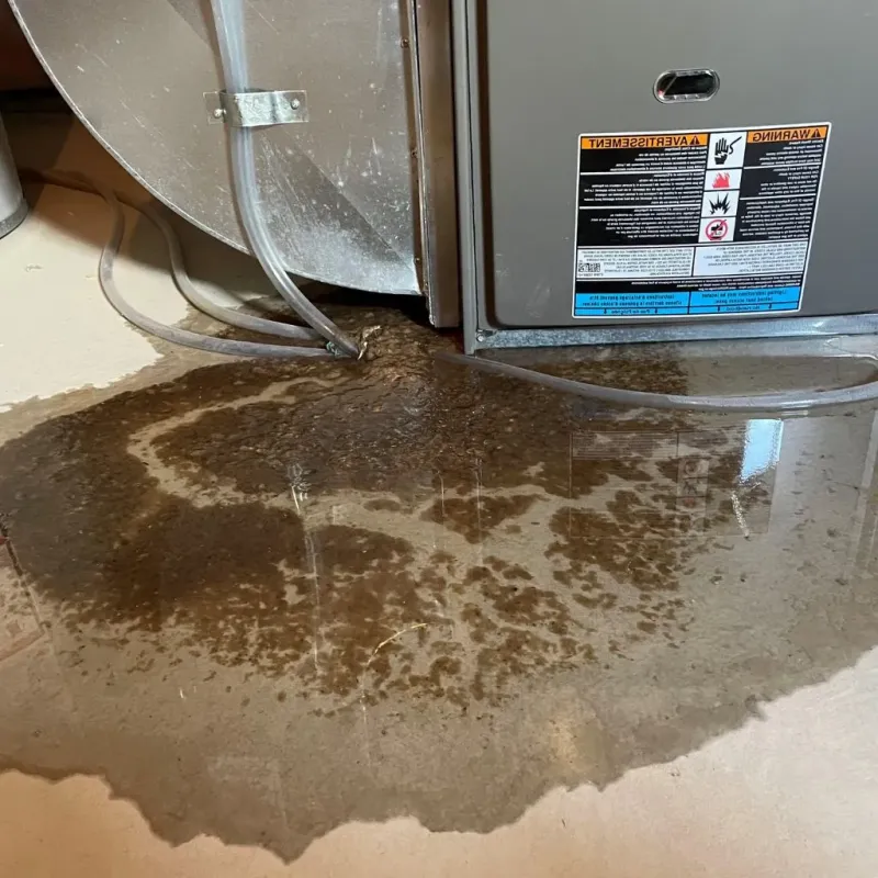 Pipe Burst and Leak Restoration in New Madrid County, MO